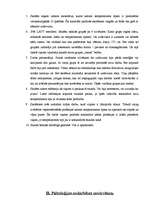 Referāts 'Pedagoģijas prakses apraksts ', 5.