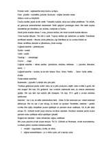 Referāts 'Pedagoģijas prakses apraksts ', 7.