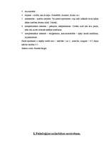 Referāts 'Pedagoģijas prakses apraksts ', 8.