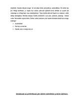 Referāts 'Pedagoģijas prakses apraksts ', 10.