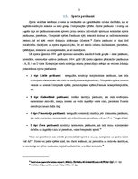 Referāts 'Pasākumu veidu analīze', 13.