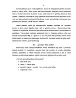 Referāts 'Pasākumu veidu analīze', 18.