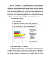 Referāts 'Pasākumu veidu analīze', 21.