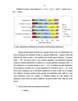 Referāts 'Pasākumu veidu analīze', 24.