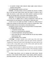 Referāts 'Kreditēšanas produktu salīdzinājums "SEB" bankā un AS "PrivatBank"', 5.