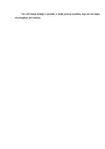 Referāts 'Kreditēšanas produktu salīdzinājums "SEB" bankā un AS "PrivatBank"', 14.