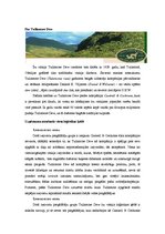 Referāts 'Uzņēmuma vieta un loma loģistikas ķēdēs un sadales kanālos', 2.