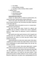 Referāts 'Uzņēmuma vieta un loma loģistikas ķēdēs un sadales kanālos', 6.