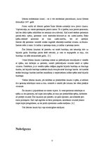 Referāts 'Īzaks Ņūtons', 6.