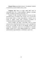 Referāts 'Komercdarbības formas', 26.