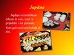 Prezentācija 'Ķīnas un Japānas kultūra', 8.