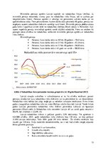Referāts 'Zinātniski pētnieciskais darbs par pensijām', 13.