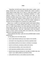 Referāts 'Jauno literātu publicēšanās iespējas Latvijā', 4.