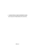 Paraugs 'Upes ielejas ģeomorfoloģiskā šķērsprofila interpretācija', 1.