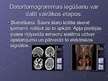 Prezentācija 'Datortomogrāfija un magnētiskās rezonanses diagnostika', 7.