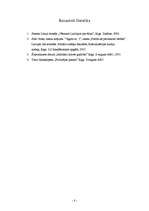 Eseja 'Mūsu izturēšanās pašiem pret sevi', 8.