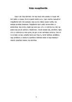 Referāts 'Kaķis', 6.