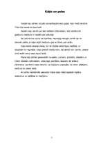 Referāts 'Kaķis', 7.