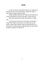 Referāts 'Kaķis', 8.