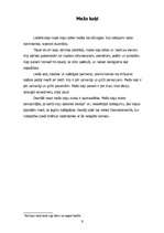 Referāts 'Kaķis', 9.