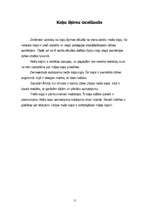 Referāts 'Kaķis', 11.