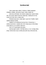 Referāts 'Kaķis', 14.