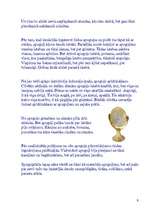 Referāts 'Spoguļa rašanās', 8.