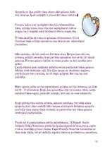 Referāts 'Spoguļa rašanās', 12.