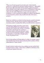 Referāts 'Spoguļa rašanās', 14.