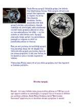 Referāts 'Spoguļa rašanās', 19.