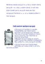 Referāts 'Spoguļa rašanās', 25.