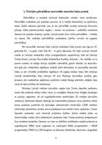 Konspekts 'Vietējās pašvaldības', 3.