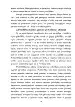 Konspekts 'Vietējās pašvaldības', 6.