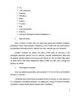 Biznesa plāns 'SIA "Concorde LV"', 4.