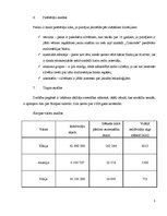 Biznesa plāns 'SIA "Concorde LV"', 5.