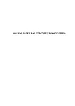 Referāts 'Galvas sāpes, to cēloņi un diagnostika', 1.