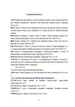 Referāts 'Galvas sāpes, to cēloņi un diagnostika', 15.