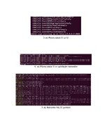 Konspekts 'Pipeline ar VLAN iezīmēm', 4.