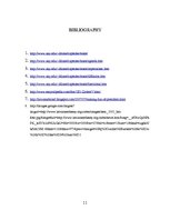 Referāts 'The Negative Image of the President of Latvia', 11.