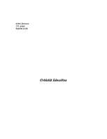 Referāts 'Orbitālā lidmašīna', 1.