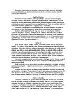 Referāts 'Orbitālā lidmašīna', 3.