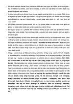 Konspekts 'R.Ezeras darba "Aka" analīze', 2.