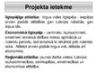 Prezentācija 'Projektu vadības pamatu eksāmena darbs', 13.