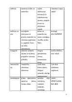 Referāts 'Tirdzniecības veicināšanas pasākumi mazumtirdzniecības uzņēmumā', 21.