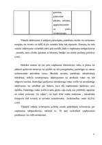 Referāts 'Tirdzniecības veicināšanas pasākumi mazumtirdzniecības uzņēmumā', 22.