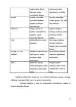 Referāts 'Tirdzniecības veicināšanas pasākumi mazumtirdzniecības uzņēmumā', 26.