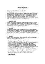 Referāts 'Kaķi', 4.