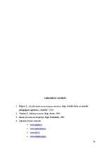 Referāts 'Alkoholisms', 38.