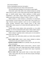 Referāts 'Latvijas pilis un to iesaiste tūrismā', 9.