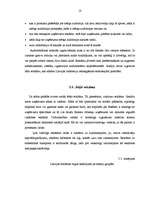 Referāts 'Reklāmas nozīme mārketingā', 18.